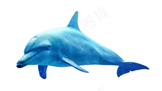 海豚免抠素材PSD分层 