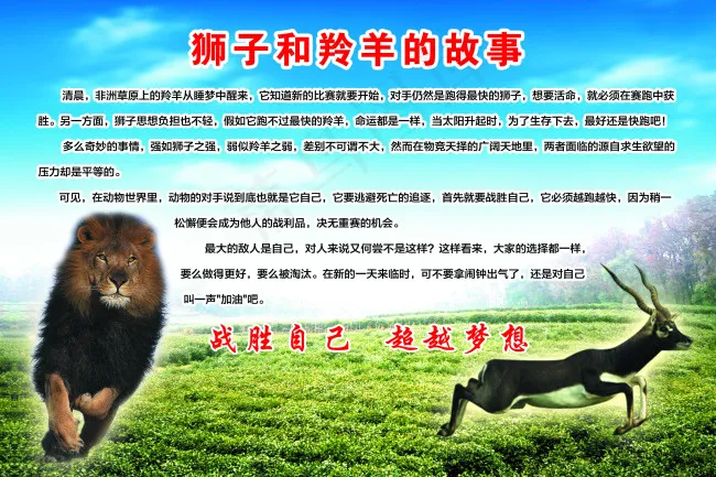 狮子与羚羊的故事(2953X1968(DPI:50))psd模版下载