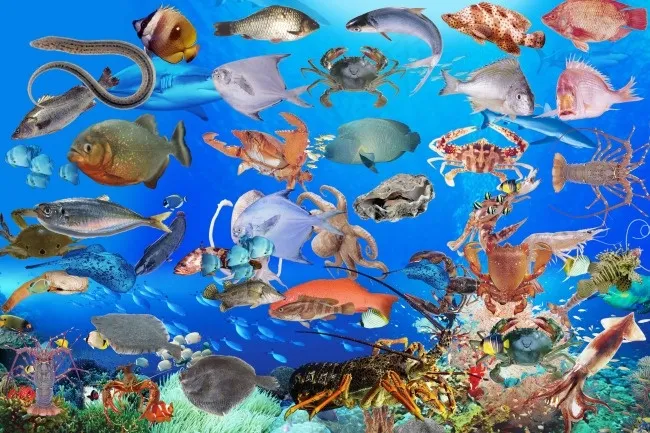 威海海鲜节日活动图片(5906X3937(DPI:300))psd模版下载