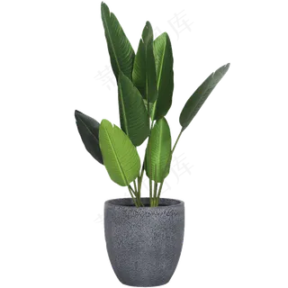 家居装饰绿植盆栽