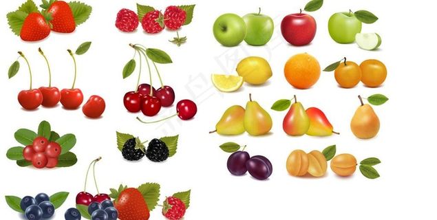 矢量水果图片