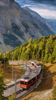 旅游观光车高清摄影图片