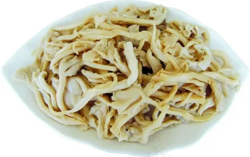 菌类 菌类