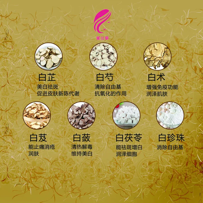 美白药材psd模版下载