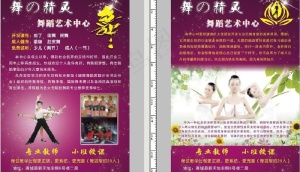 舞的精灵招生简章图片
