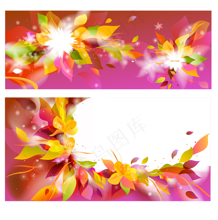 炫彩夺目花卉背景矢量