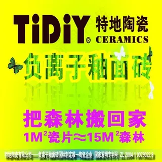 特地负离子釉面砖