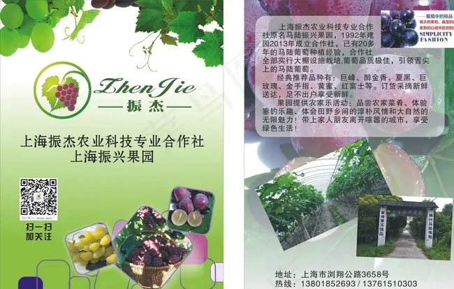 葡萄园传单图片cdr矢量模版下载