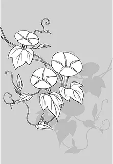 日本的植物材料拉伸9朵向量（Mo