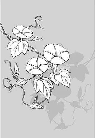 日本的植物材料拉伸9朵向量（Mo