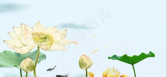 水墨荷花金鱼视频图片