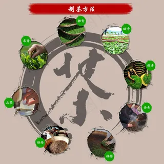 制茶方法 茶叶 绿茶 红茶 乌龙茶