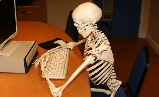 玩电脑的骷髅图片