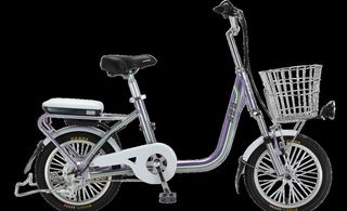 喜德盛 紫色电动车图片