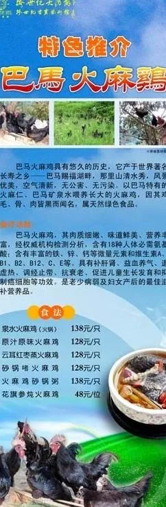 巴马火麻鸡x展架图片cdr矢量模版下载