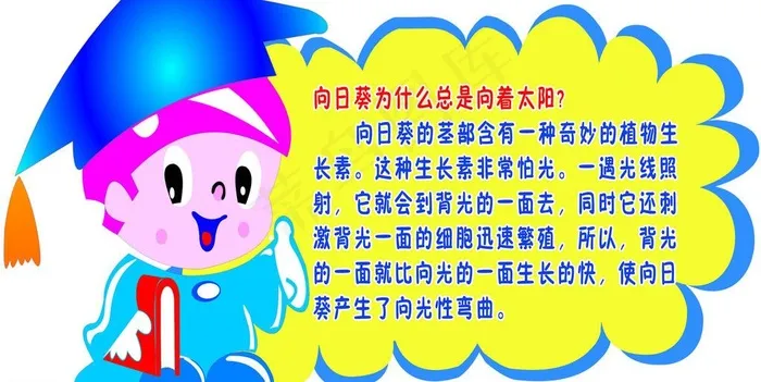 幼儿园图片
