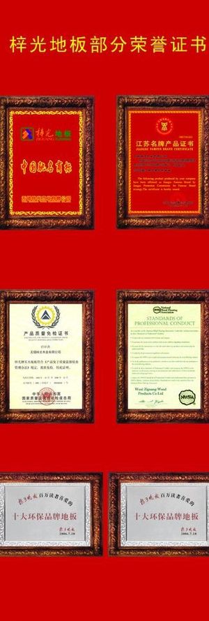 梓光地板 展架图片