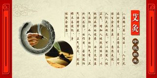 艾灸 中华养生 立体 简介