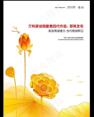 万科 荷花 莲 藕图片