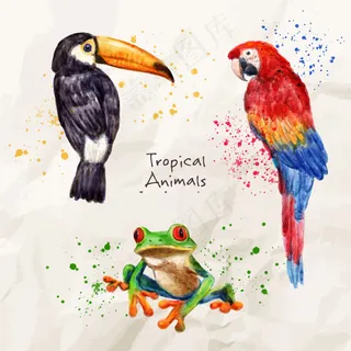 时尚彩绘手绘素描鹦鹉素材