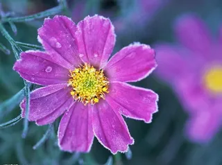 高清风景图图片