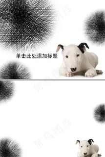 一只可爱的宠物狗ppt模板