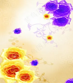 玫瑰花的羞涩图片