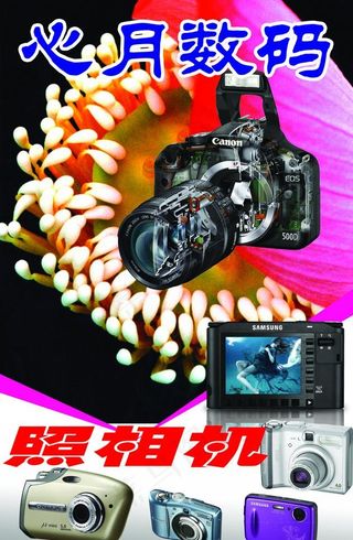 照相机摊位宣传牌图片