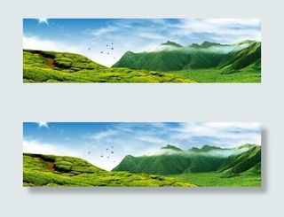 山坡茶园景色 下载