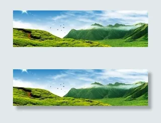 山坡茶园景色 下载