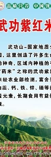 紫红米图片