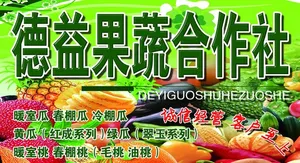 果蔬合作社招牌图片
