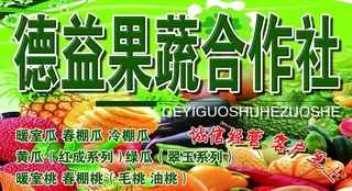 果蔬合作社招牌图片