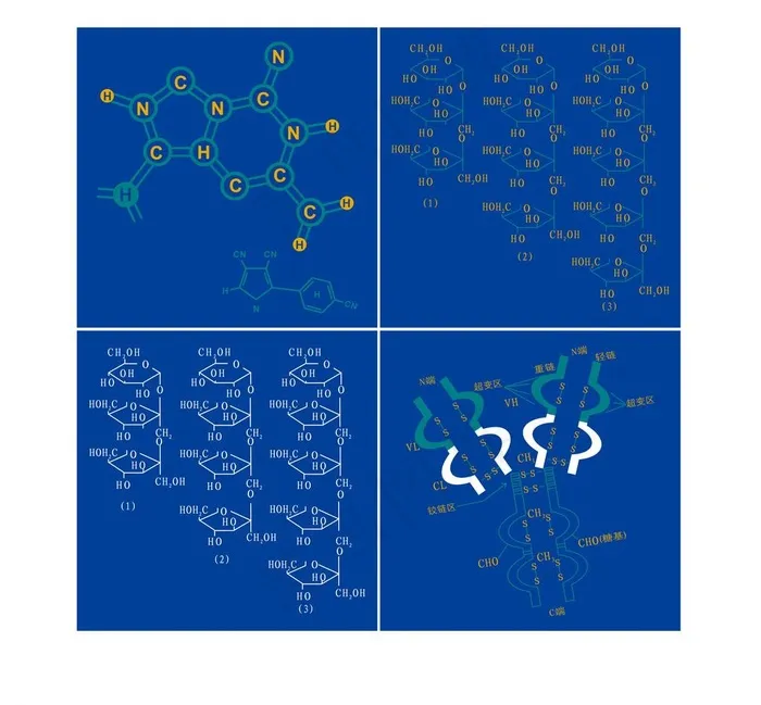 分子结构图图片