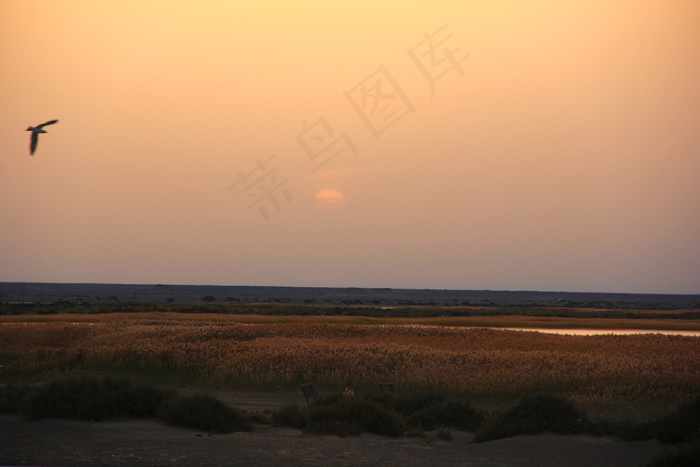 内蒙古居延海图片