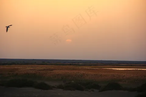 内蒙古居延海图片 内蒙古居延海图片