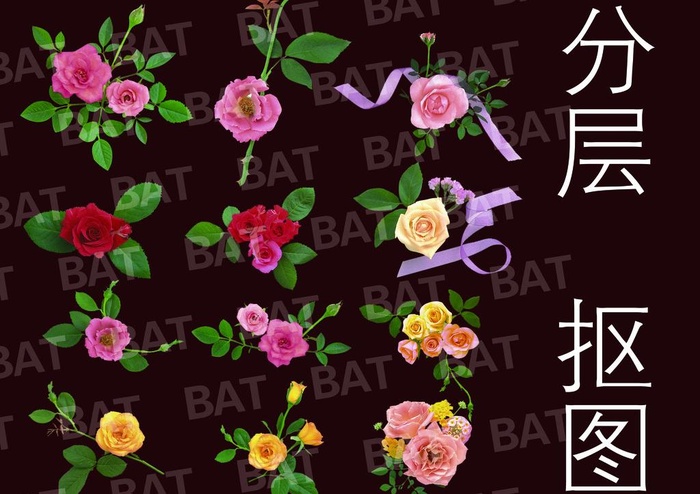 鲜花素材图片psd模版下载