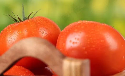 西红柿特写图片 西红柿特写图片