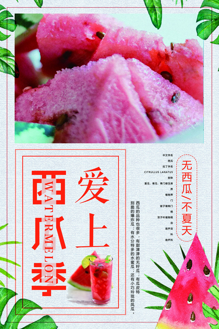 2018年红色简洁大气西瓜水果海报(3543X5315(DPI:150))psd模版下载