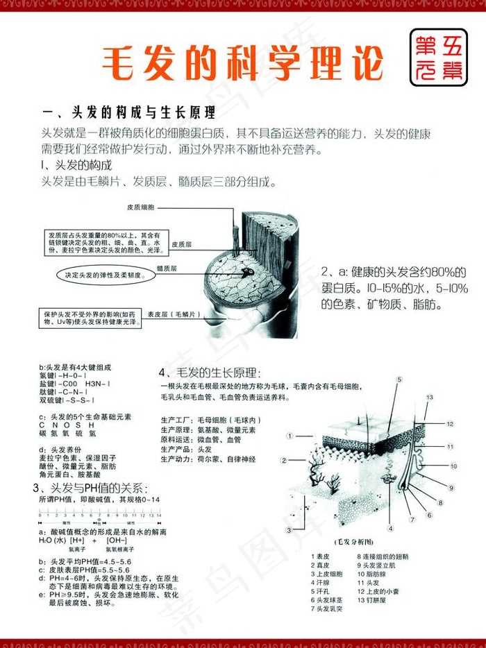 美发图片