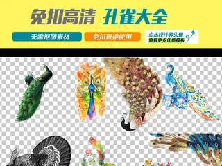 多款中国风工笔孔雀开屏海报PNG素...