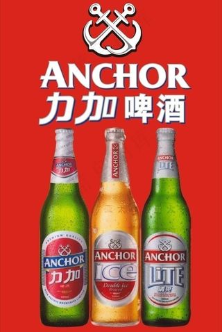 力加啤酒图图片