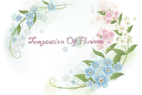 韩国植物装饰边框矢量图45