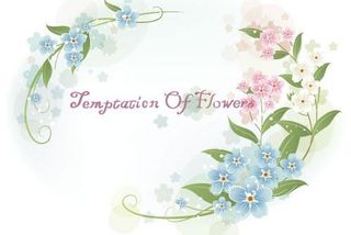 韩国植物装饰边框矢量图45