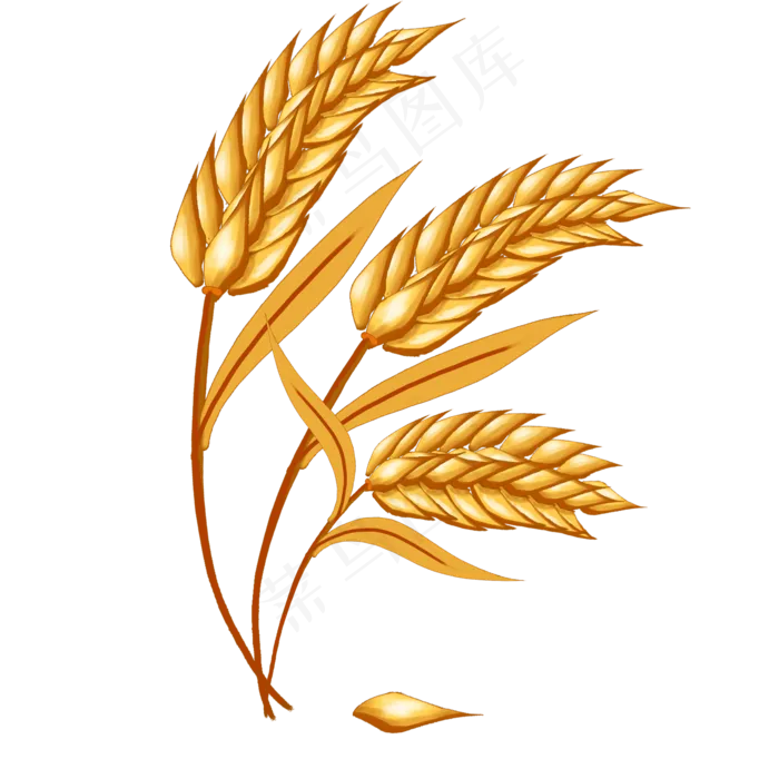 五谷杂粮之大米麦穗五谷杂粮之大米麦穗psd模版下载