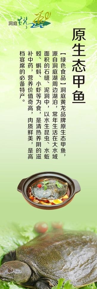 原生态甲鱼易拉宝图片cdr矢量模版下载