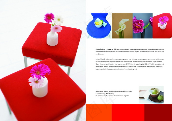 欧美美容养生版式画册PSD素