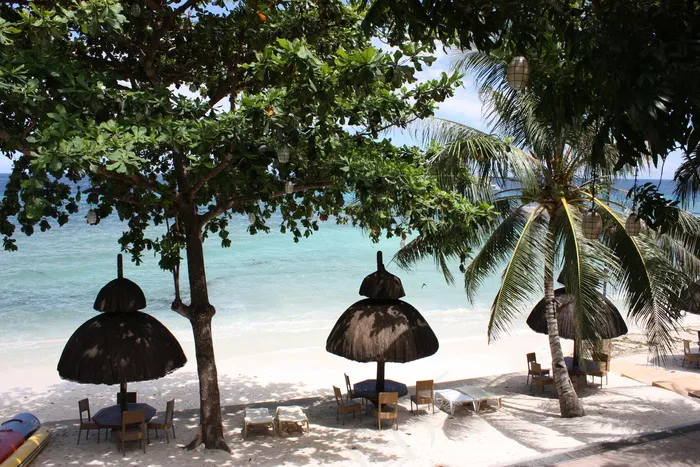 夏日么么茶图片