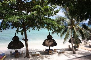 夏日么么茶图片