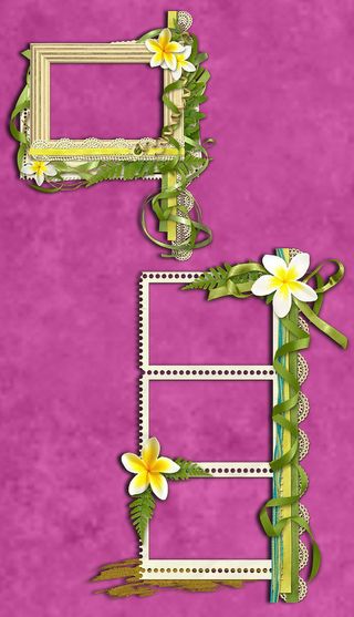 两款清新淡雅的花草装饰边框png素...